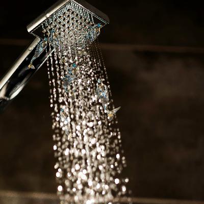 PODCAST 221  Tales of showers and language malfunctions