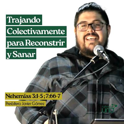 SANANDO LAS HERIDAS, RECONSTRUYENDO LA ESPERANZA Nº7 SANANDO LAS HERIDAS, RECONSTRUYENDO LA ESPERANZA Nº7