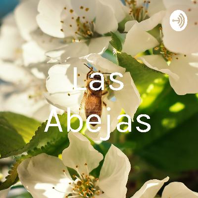 Las Abejas (Trailer)