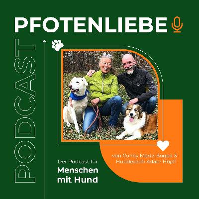 Wie wir durch den eigenen Stress unsere Hunde beeinflussen! Und wie können wir unsere Hunde in der Wohnung gut beschäftigen!
