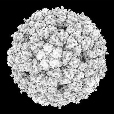 AIが設計したDNAのバクテリオファージ 新たな治療法、AIが設計する生命、生物兵器 AIが設計したDNAのバクテリオファージ 新たな治療法、AIが設計する生命、生物兵器