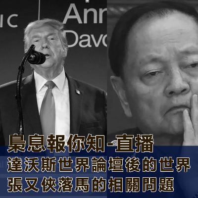 達沃斯世界論壇後的世界-張又俠落馬的相關問題