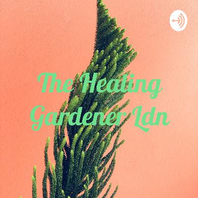 Episode 3. B is for Bonsai