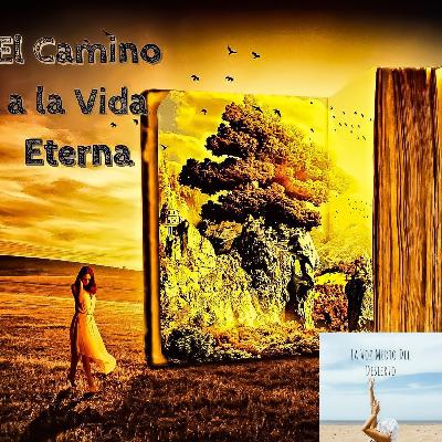 Devocional: El camino a la vida eterna