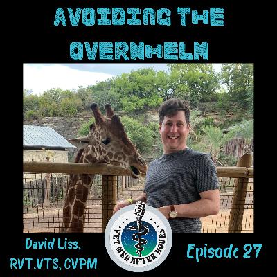 Avoiding The Overwhelm