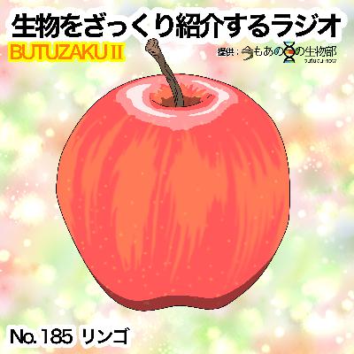 第85話:✉️「リンゴ」をざっくり紹介 第85話:✉️「リンゴ」をざっくり紹介