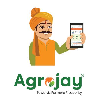 Effect of Rain on Tomato Crop