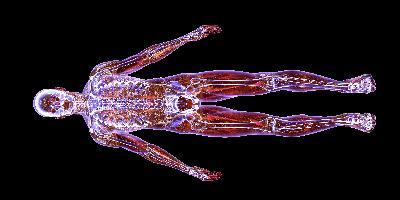Sarcoma Orthopedic Surgery with Dr. R. Lor Randall Sarcoma Orthopedic Surgery with Dr. R. Lor Randall