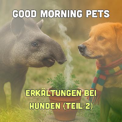 GMP92: Erkältungen bei Hunden (Teil 2)