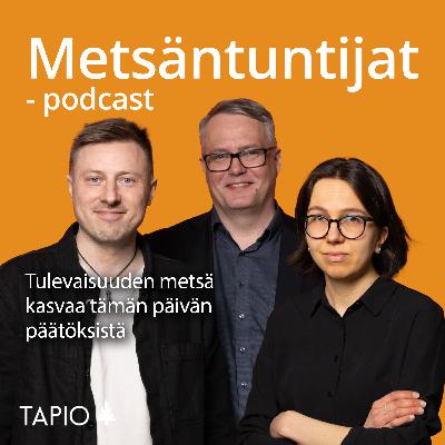 Tulevaisuuden metsä kasvaa tämän päivän päätöksistä