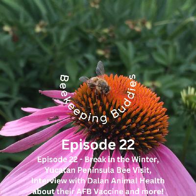 Episode 22 - Break in the Winter, Luke's Yucatan Peninsula Bee Visit, Interview with Dalan Animal Health about their AFB Vaccine and more!