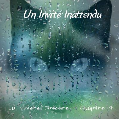 La Volière Obscure - CH 4, Un invité inattendu