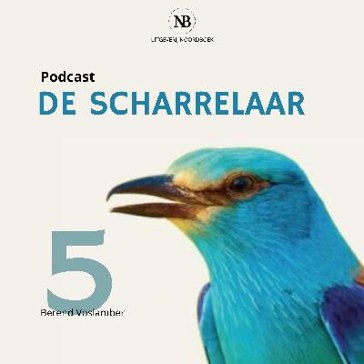 Berend Voslamber over 'zijn' grauwe ganzen