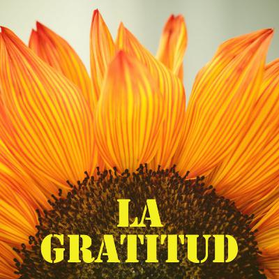 LA GRATITUD LA GRATITUD