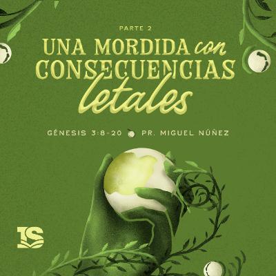 Una mordida con consecuencias letales