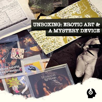 Erotic Art, CDr's and a Mystery Device from Hybryds