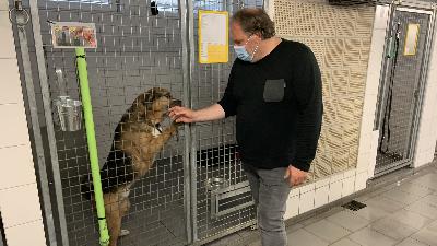 #51 Hund aus dem Tierschutz JA oder NEIN?