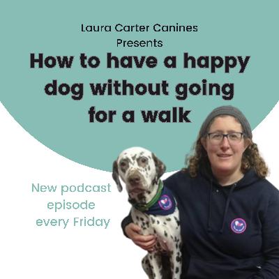 Games That Strengthen Your Bond Without the Lead Games That Strengthen Your Bond Without the Lead