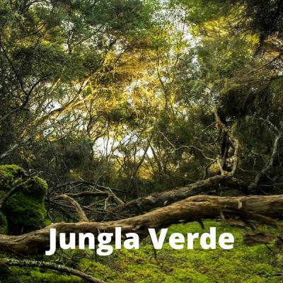 Jungla Verde (8 horas) - Sonidos de la naturaleza para concentrarse y trabajar.