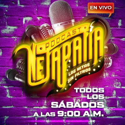 La Netapatia 13 De Febrero 2026