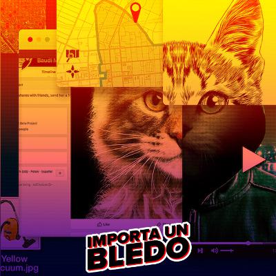 Hoy vemos: No te metas con los gatos 🙀