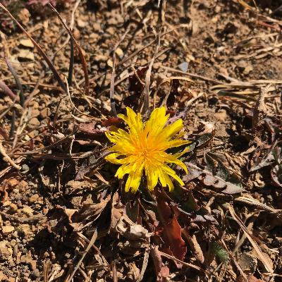 La mañana más loca de nuestras vidas (story time)