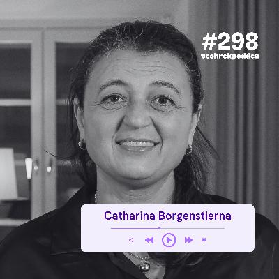 298. AI som kollega, inte strategi med Catharina Borgenstierna 298. AI som kollega, inte strategi med Catharina Borgenstierna