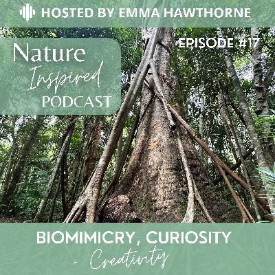 Biomimicry, curiosity and creativity