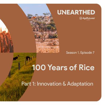 100 Years of Rice – Part 1: Innovation and Adaptation