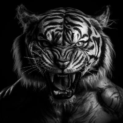 El Tigre de Rancho Grande