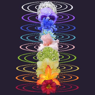 Those Energy Centers Those Energy Centers