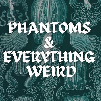 Neverending Stories #19 (by Phantoms and Everything Weird)