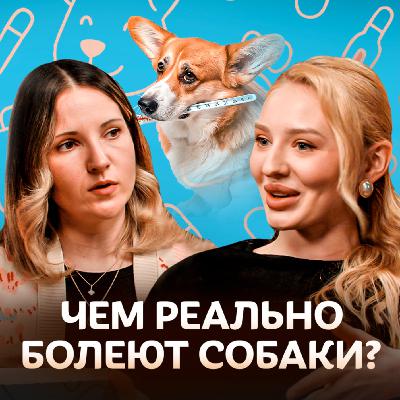 Чем реально болеют собаки? Ветеринар о профилактике и лечении болезней / Догси Подкаст #1