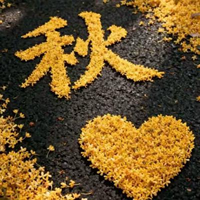 【直播回听】秋天醉美的歌❤一起听