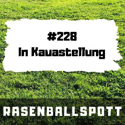 Rasenballspott #228 - In Kauastellung