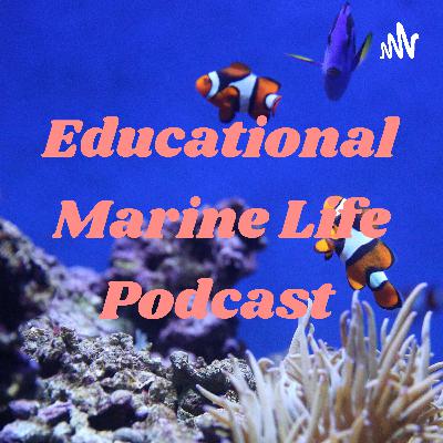 Educational Marine Life Podcast  (Trailer)