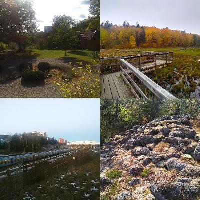 Arkeologi & kulturmiljö i Flemingsberg