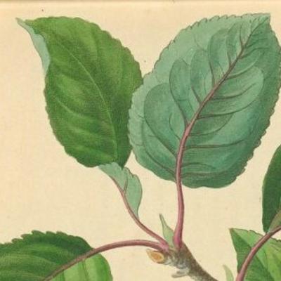 Eps. 3 : Rokok dan Kopi