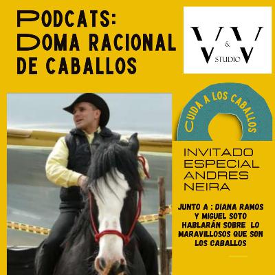 Doma Racional, una excelente alternativa para tratar a los caballos