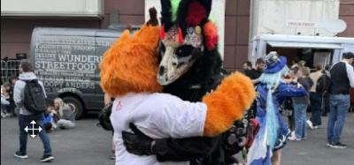 Fur Suit