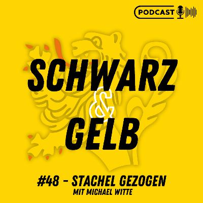 #48 - Stachel gezogen - mit Michael Witte von den Moskitos Essen