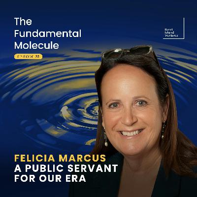 Felicia Marcus: A Public Servant for our Era