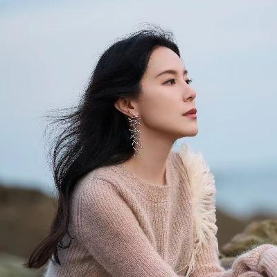 蔚来老板娘王奕芝（上）：50岁的李斌终于想安定了