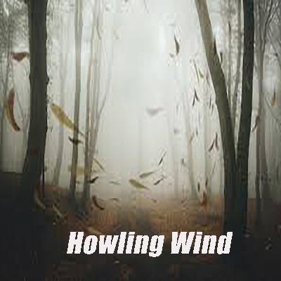 Strong Howling Wind Sound White Noise Swaying Trees in The Wind