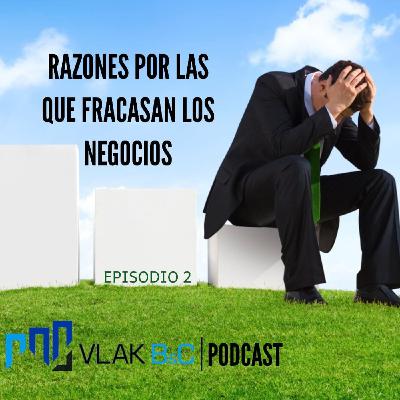 002 Razones por las que los negocios fracasan 002 Razones por las que los negocios fracasan