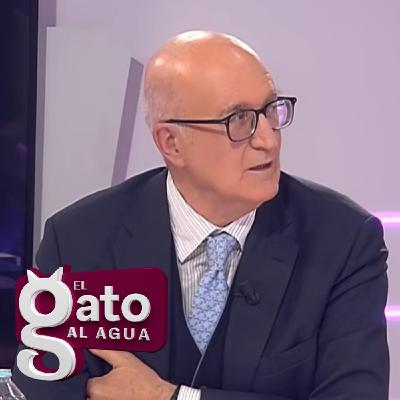 El Gato Al agua | 17/02/2026 El Gato Al agua | 17/02/2026