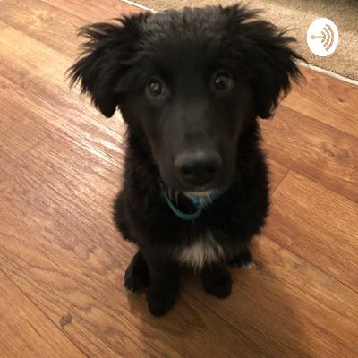 Life With Logan (Trailer) Life With Logan (Trailer)