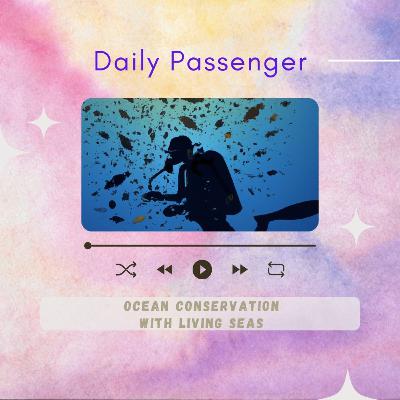 81: How LivingSeas Promotes Ocean Conservation Through Diving Programs 81: How LivingSeas Promotes Ocean Conservation Through Diving Programs