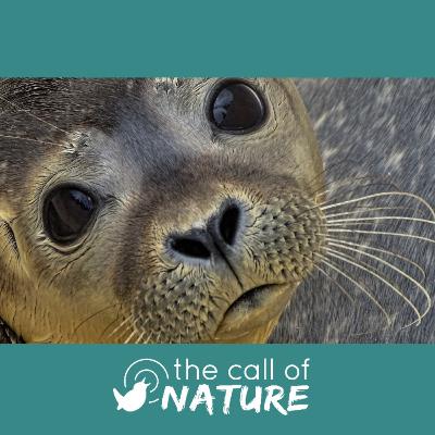 Episode 4 "Sexy Slugs and The Golden Valley"