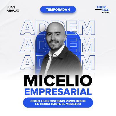 75. Micelio empresarial: cómo tejer sistemas vivos desde la tierra hasta el mercado / Addem Capital 75. Micelio empresarial: cómo tejer sistemas vivos desde la tierra hasta el mercado / Addem Capital